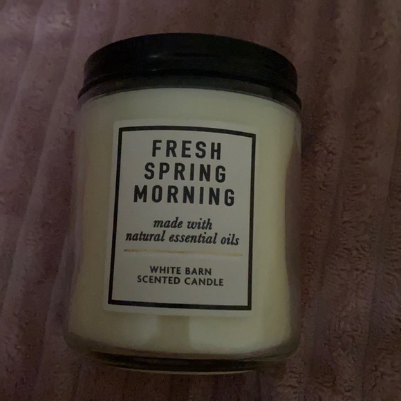 Fresh spring morning single wick